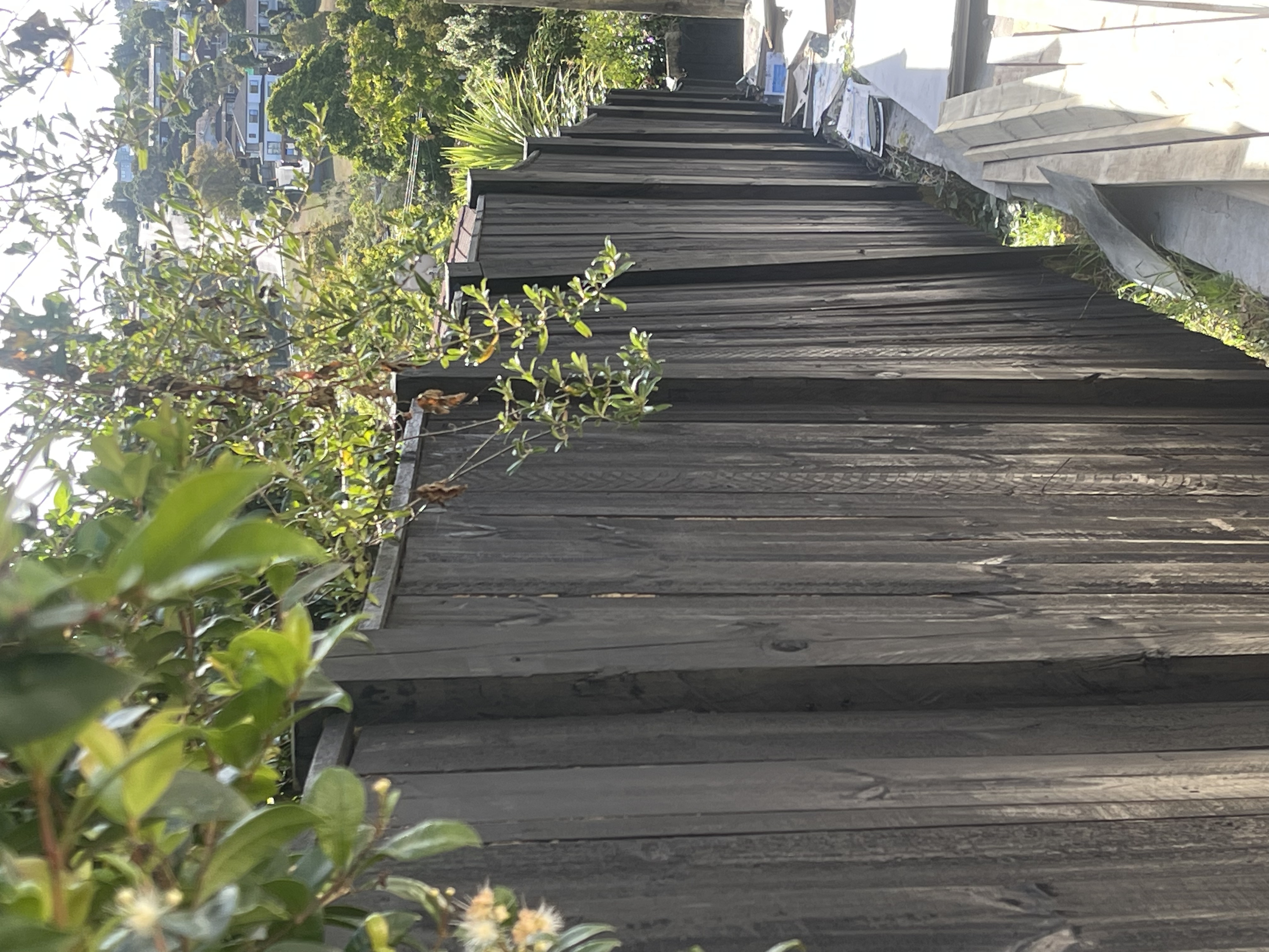 Fence 1